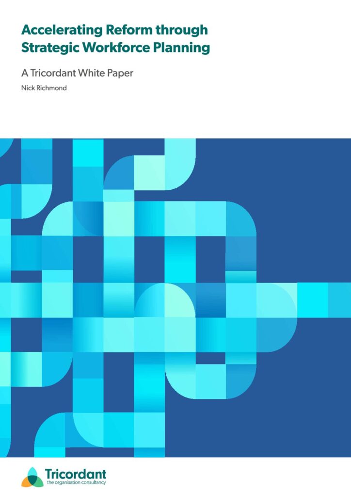 Accelerating Reform through SWP May 2025 pdf